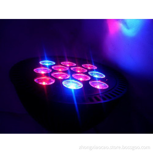 led spot light 36w for your fish tank Led Par Light Par38 Al